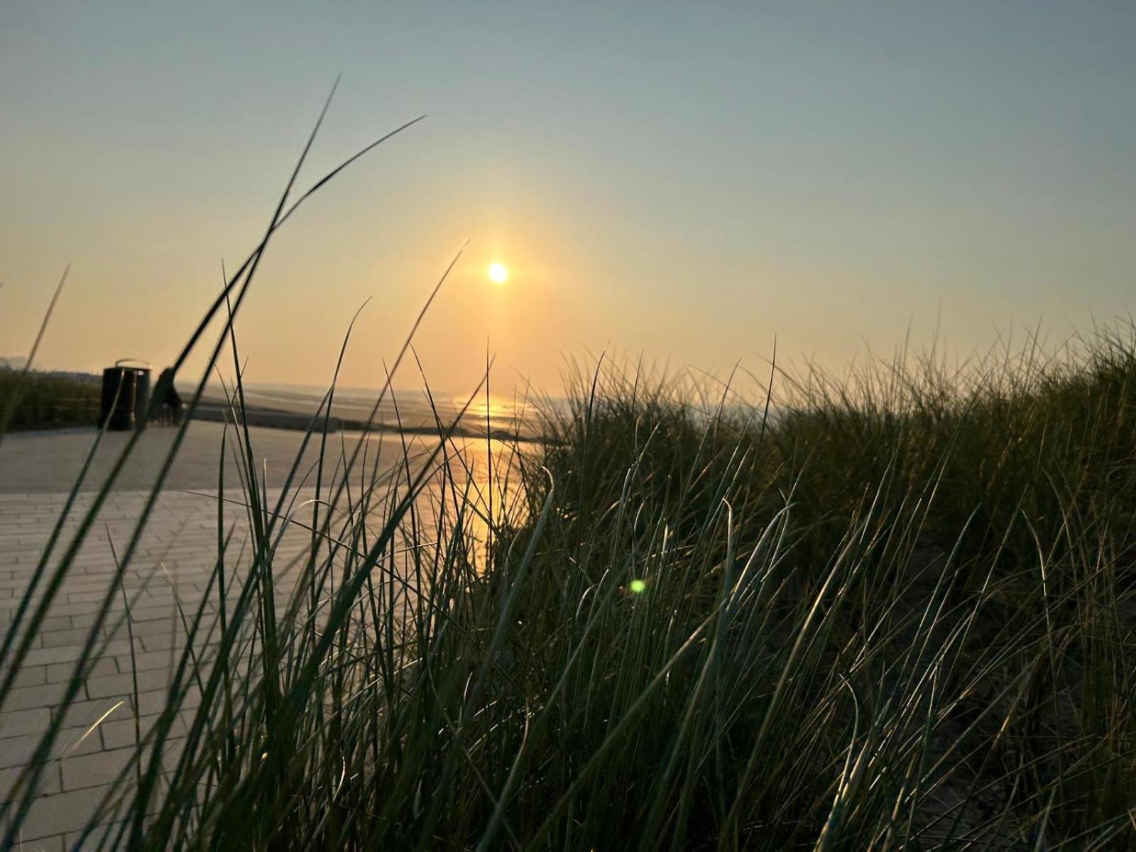 Middelbeach Middelkerke Eksteriør bilde